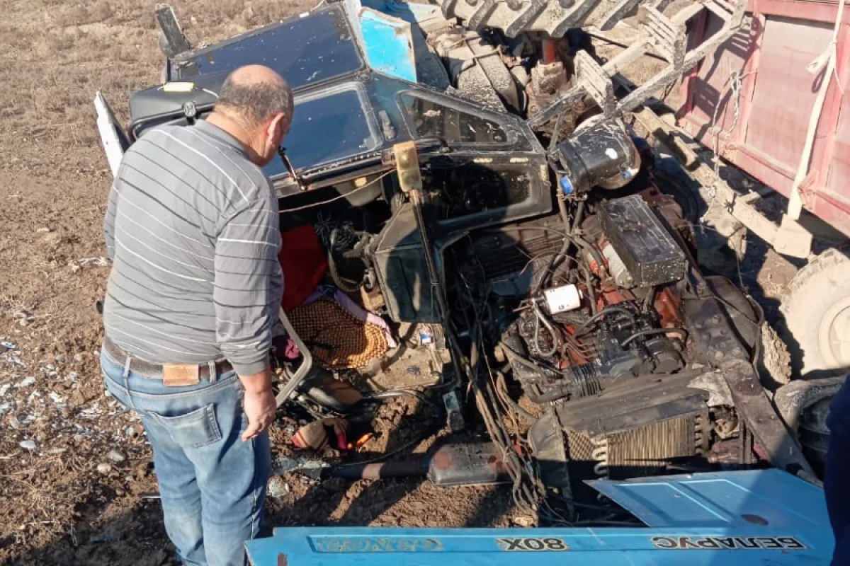 Qarşısına inək çıxan traktor aşdı