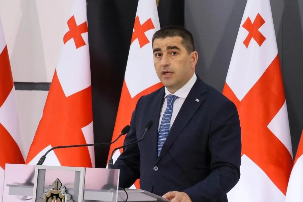 Papuaşvili: "Gürcüstan Aİ tərəfindən zorakılığa məruz qalır"