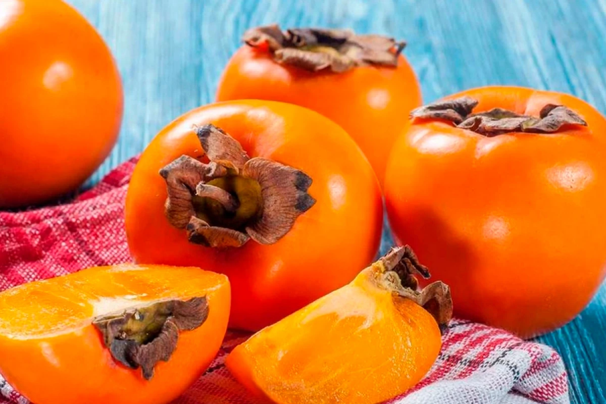 Latviyaya xurma tədarükü bərpa edildi