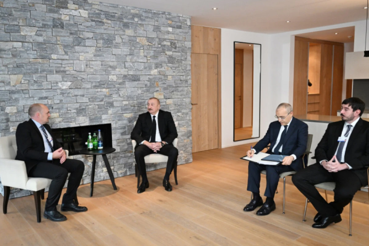 Prezident “Vestas Wind Systems” şirkətinin nümayəndəsi ilə görüşdü