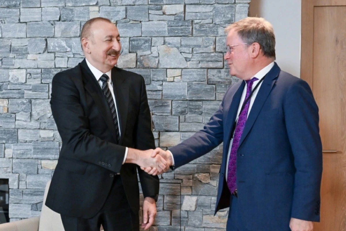 Prezident Davosda "Vitol" şirkətinin baş icraçı direktoru ilə görüşdü