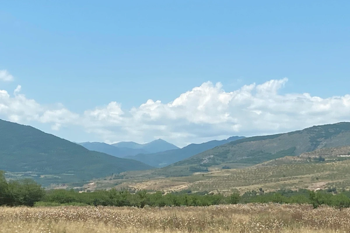 10 erməni Ermənistana təhvil verildi
