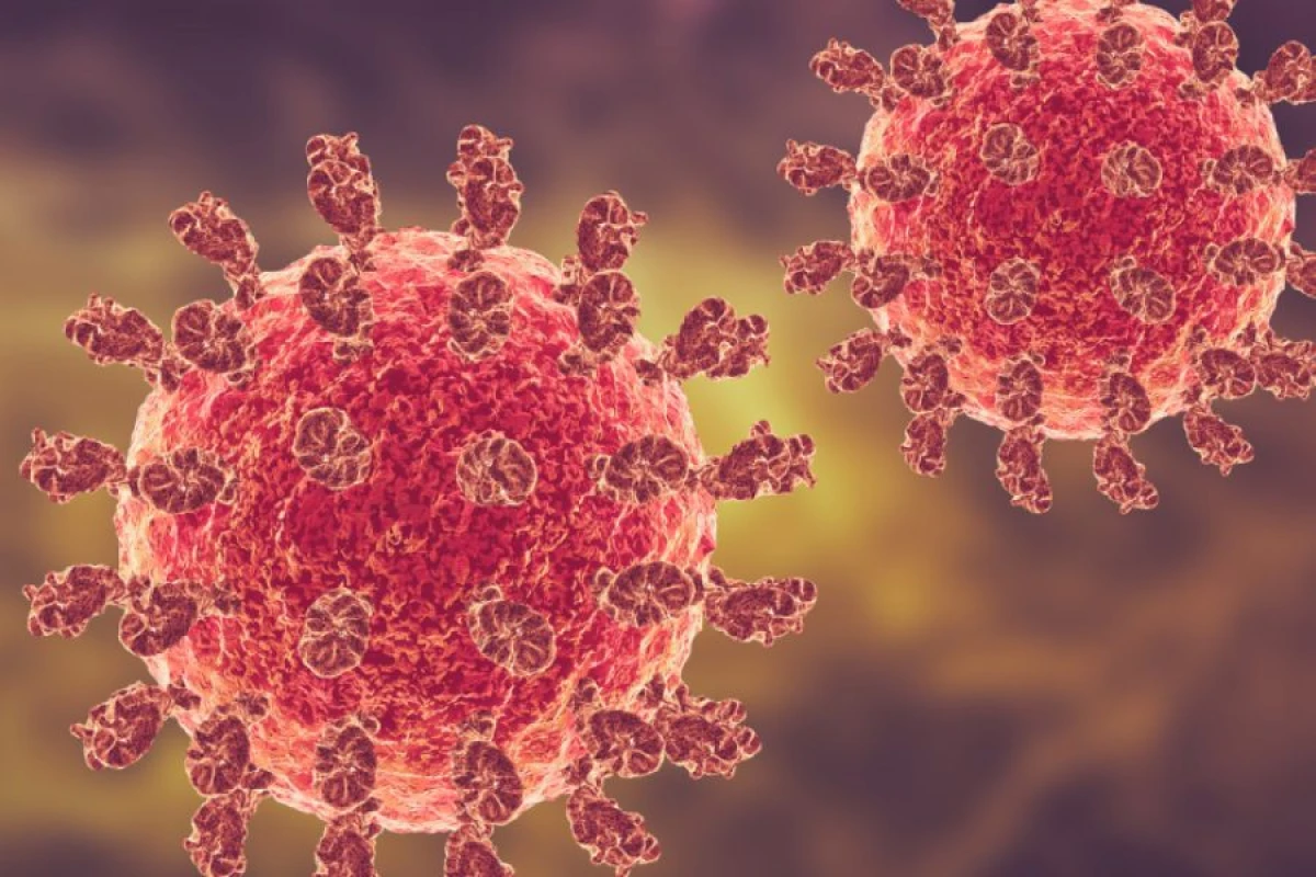 Dünyada yeni virus təhlükəsi