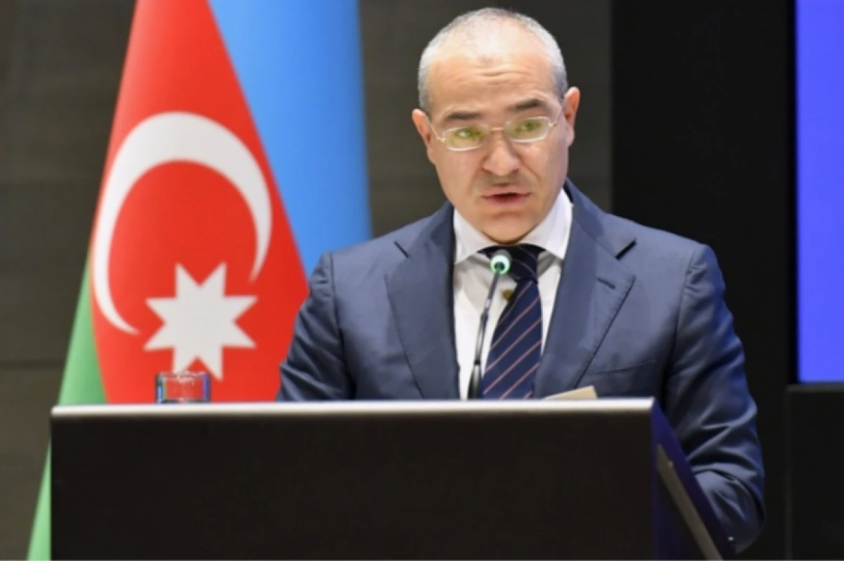 Nazir: "Azərbaycan İsrailin enerji sektorunda əhəmiyyətli investordur"