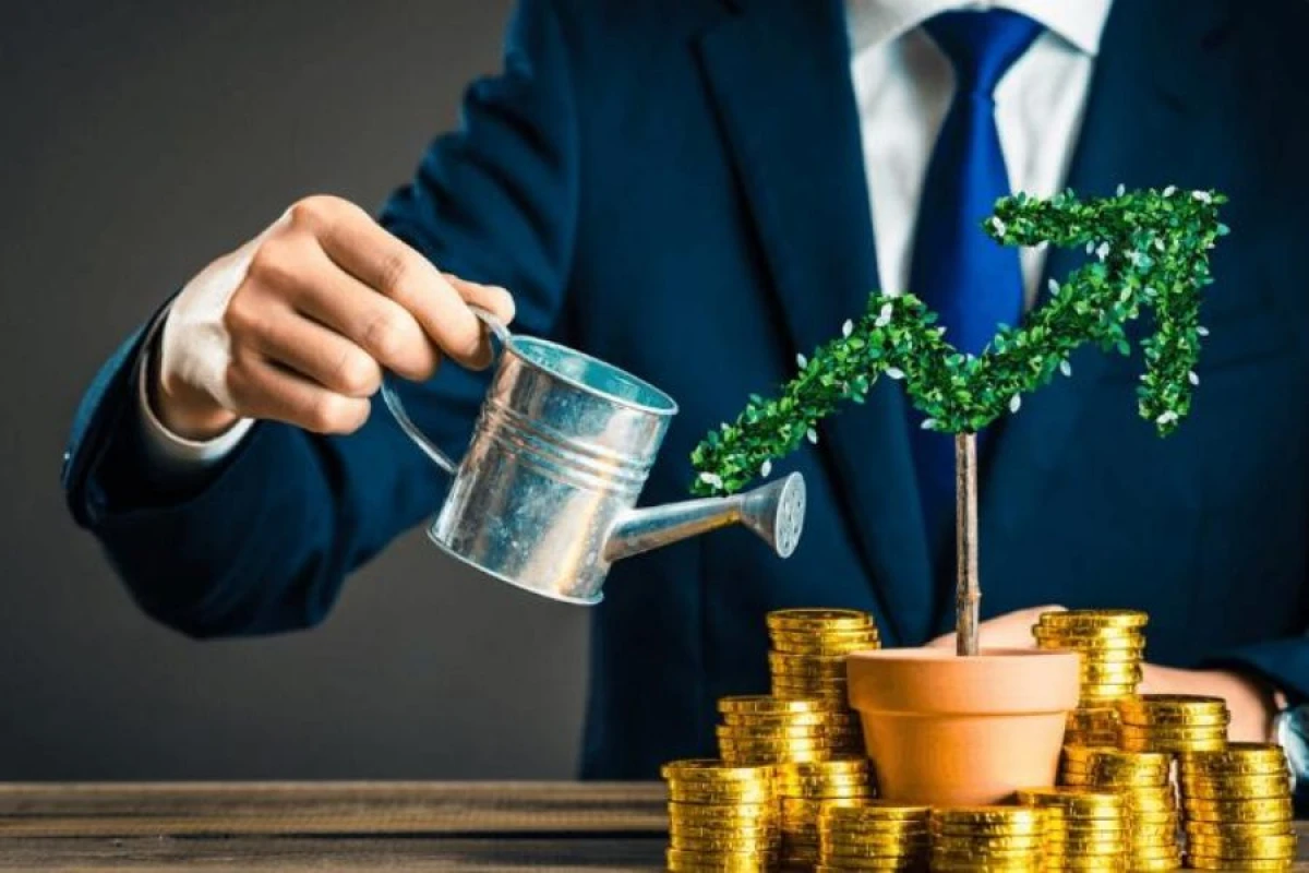 Azərbaycan sürətləndirici investisiya zonaları yaradıb