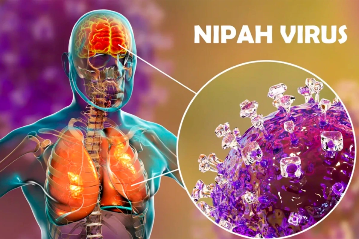 TƏCİLİ! Ölümcül virus Azərbaycana gəlir?