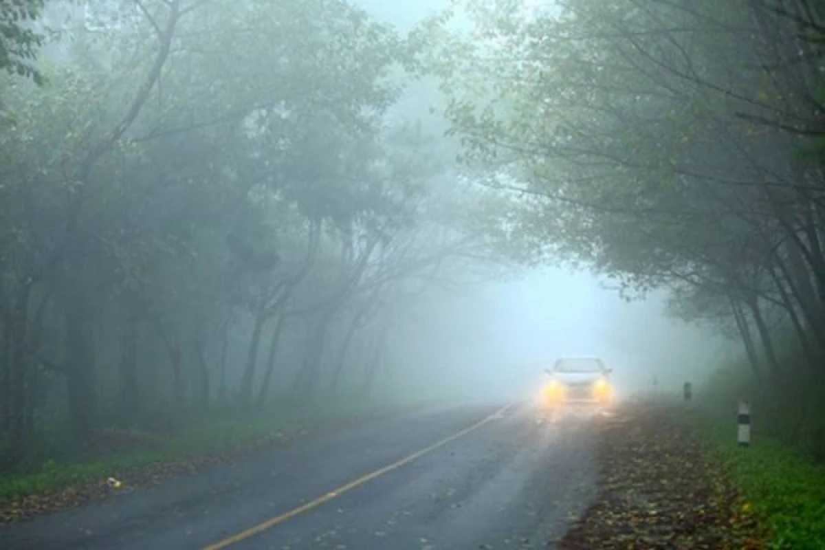 Diqqət: Bəzi rayonlarda  yollar dumanlı olacaq