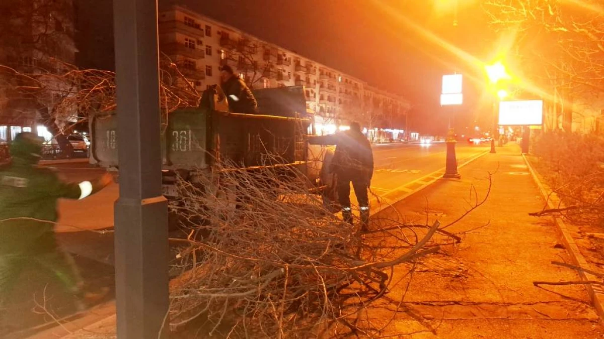 Son iki gündə güclü külək 78 ağacı sındırıb — 1