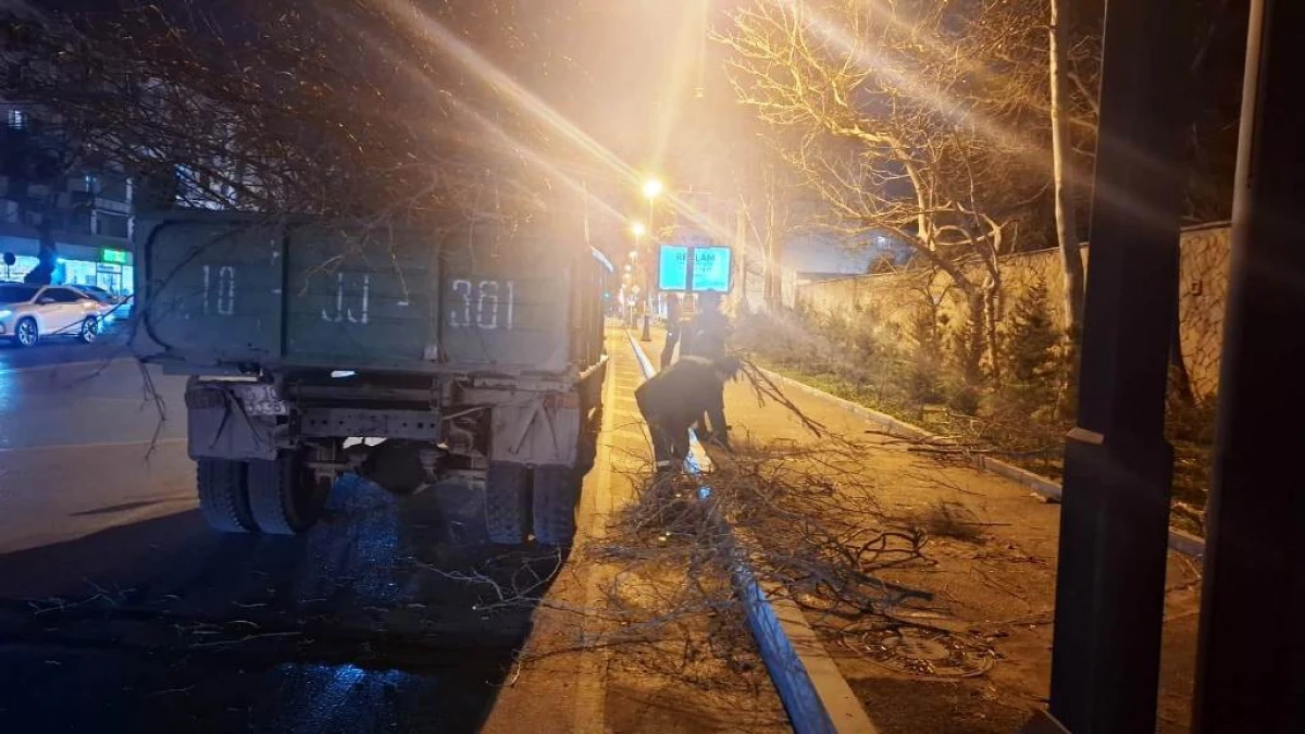 Son iki gündə güclü külək 78 ağacı sındırıb — 4