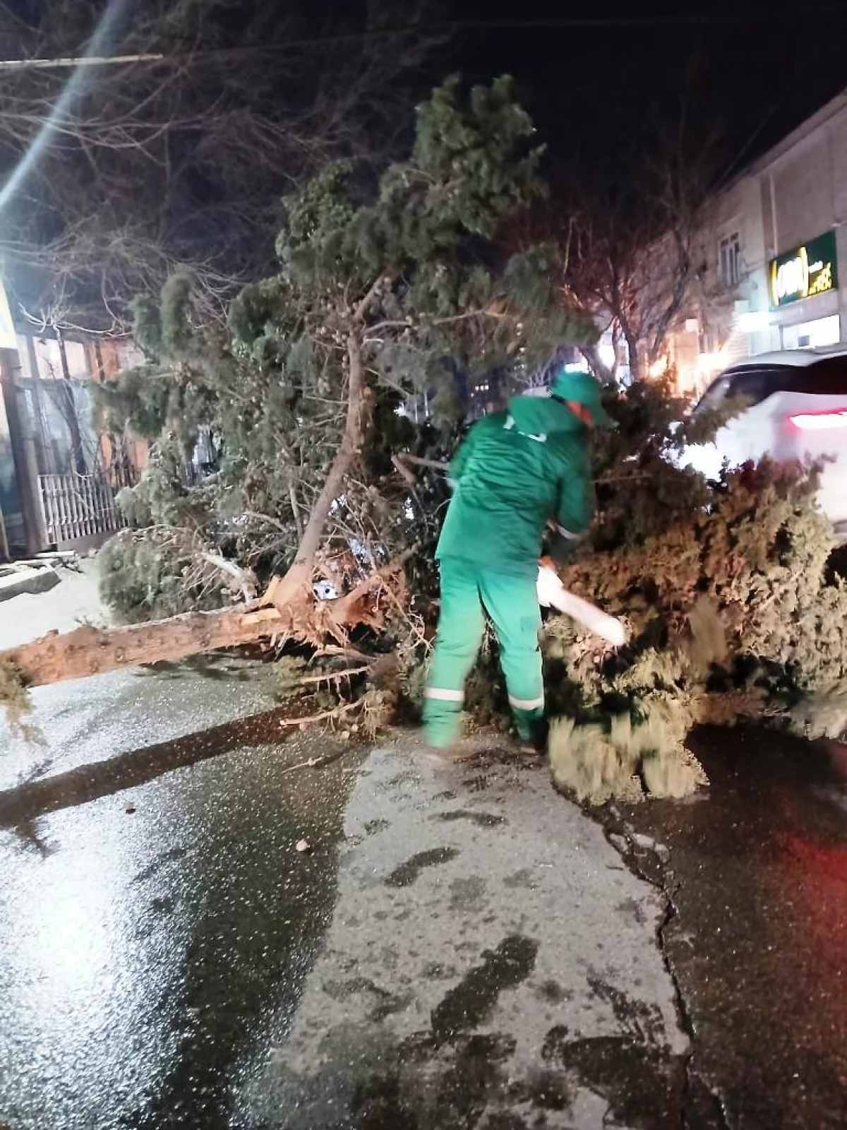 Son iki gündə güclü külək 78 ağacı sındırıb — 7