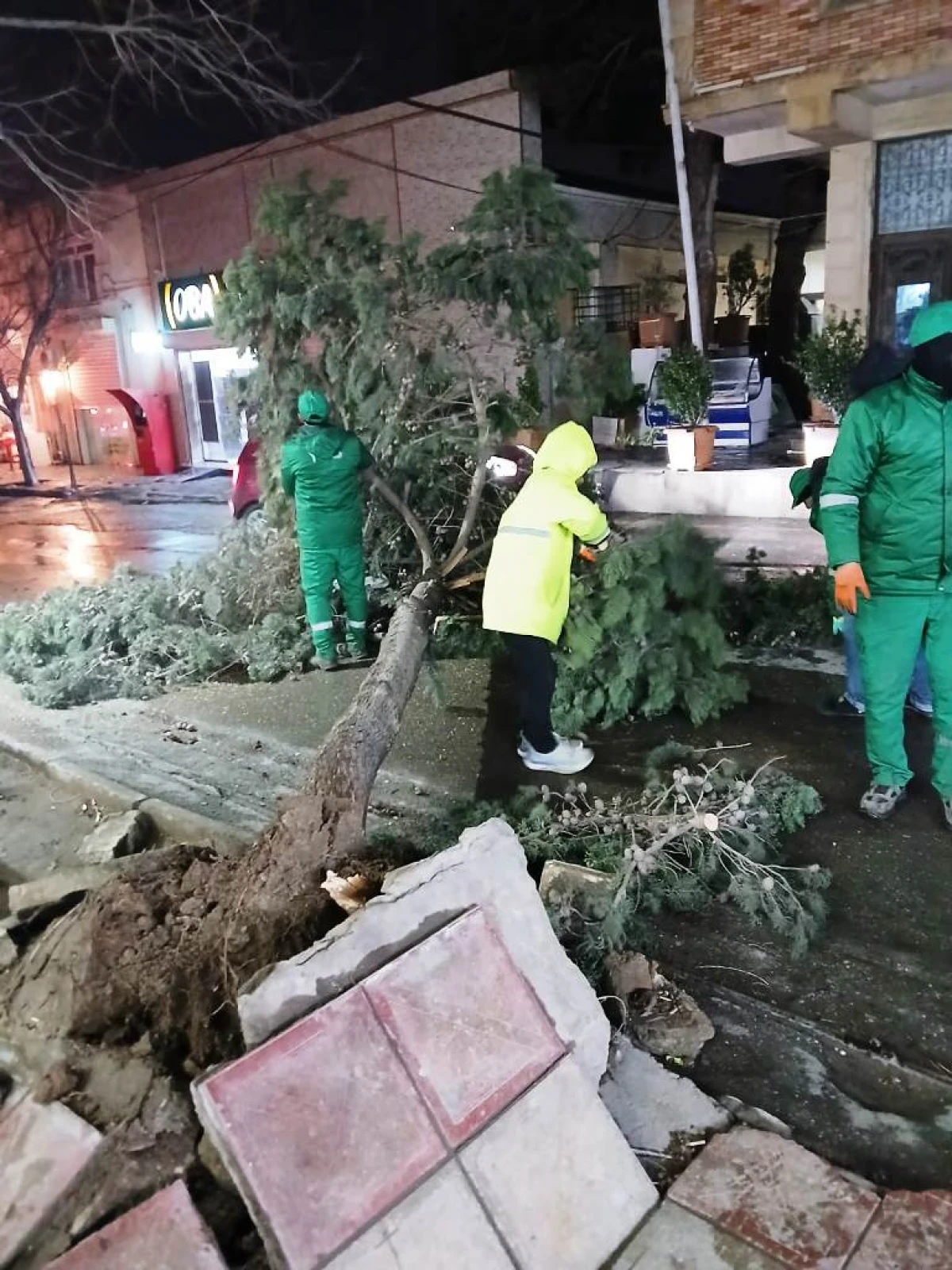 Son iki gündə güclü külək 78 ağacı sındırıb — 9
