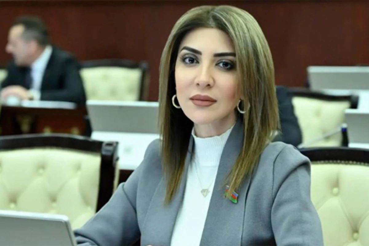 Günay Ağamalı: “İqtisadi əlaqələr sülhün alternativi deyil!”