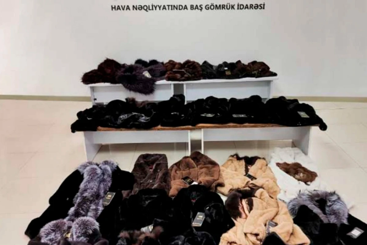Azərbaycan gömrükçüləri xəz dəri məmulatları aşkar etdi