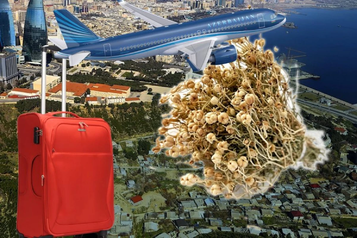 AZAL Rusiyaya üzərlik aparan vətəndaşlara xəbərdarlıq etdi