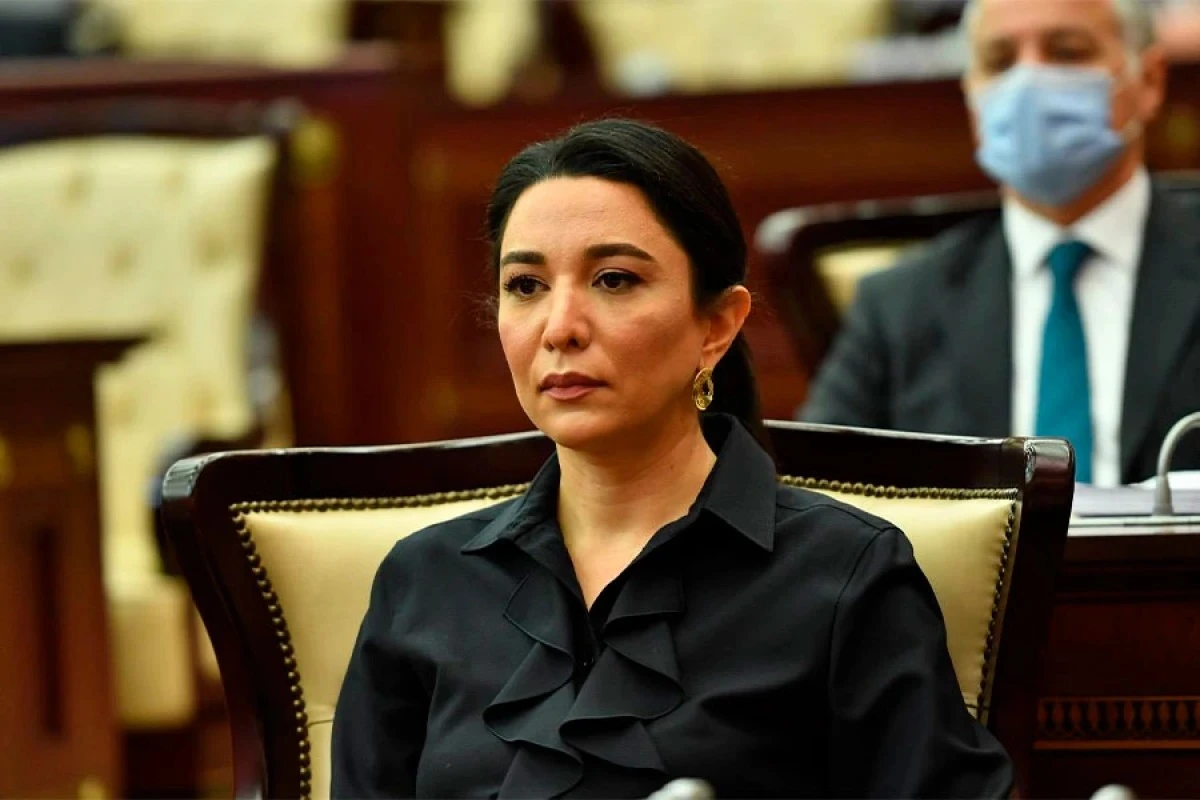 Ombudsman məruzəsini Prezidentə təqdim etdi