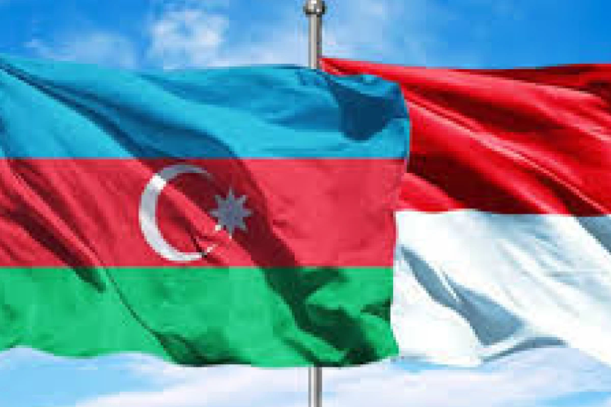 Azərbaycan və İndoneziya əməkdaşlığın gücləndirilməsini müzakirə etdilər