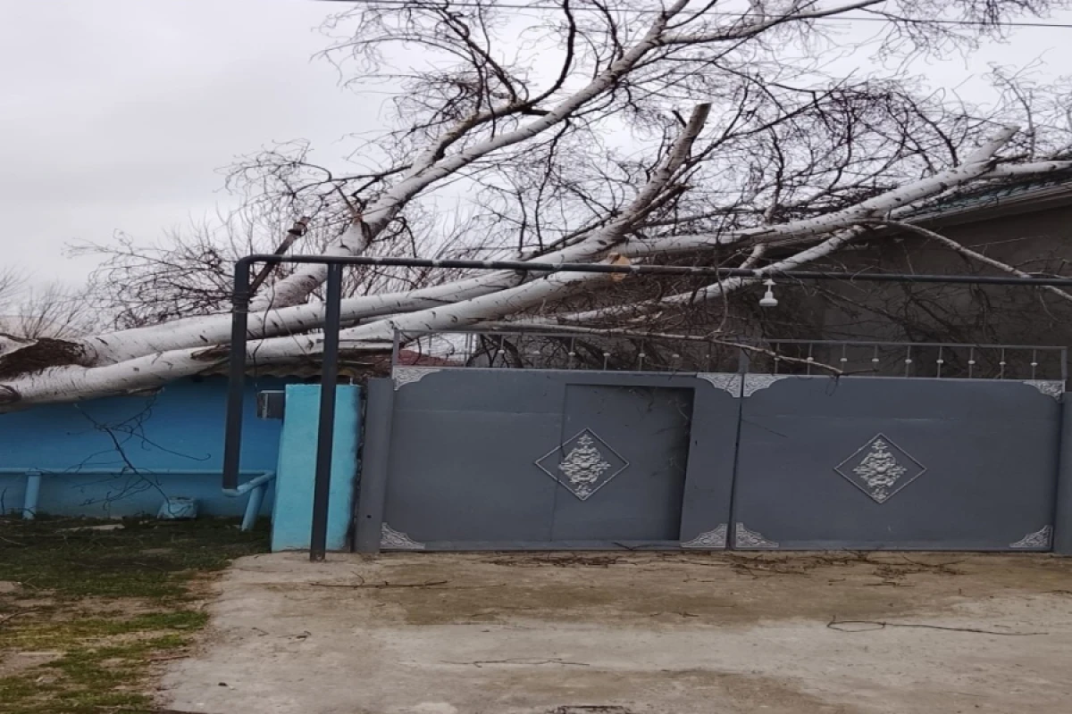 Biləsuvar və Cəlilabadda güclü külək fəsadlar törətdi
