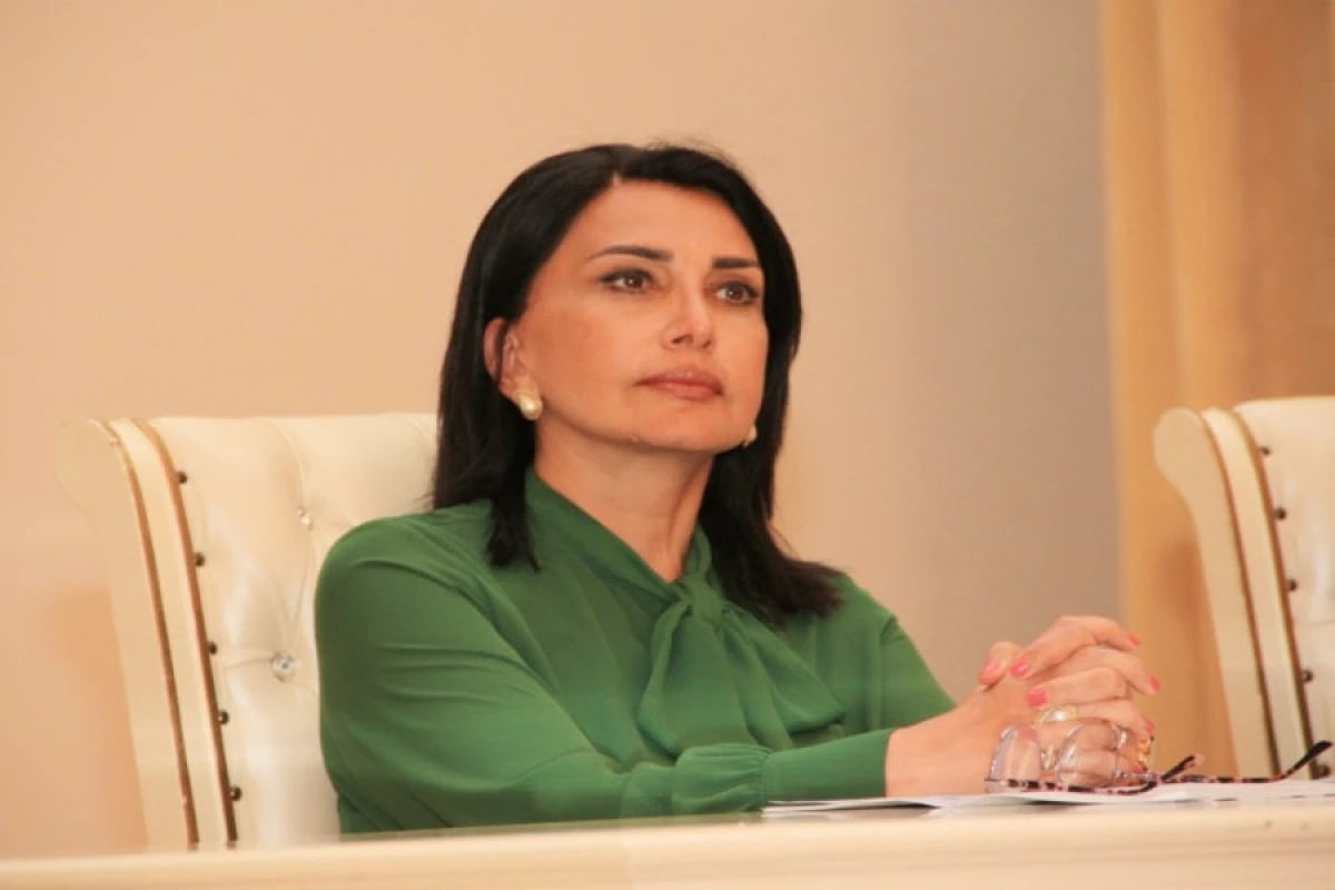 “Təzyiq qəbul edilə bilməz!” – Millət vəkili