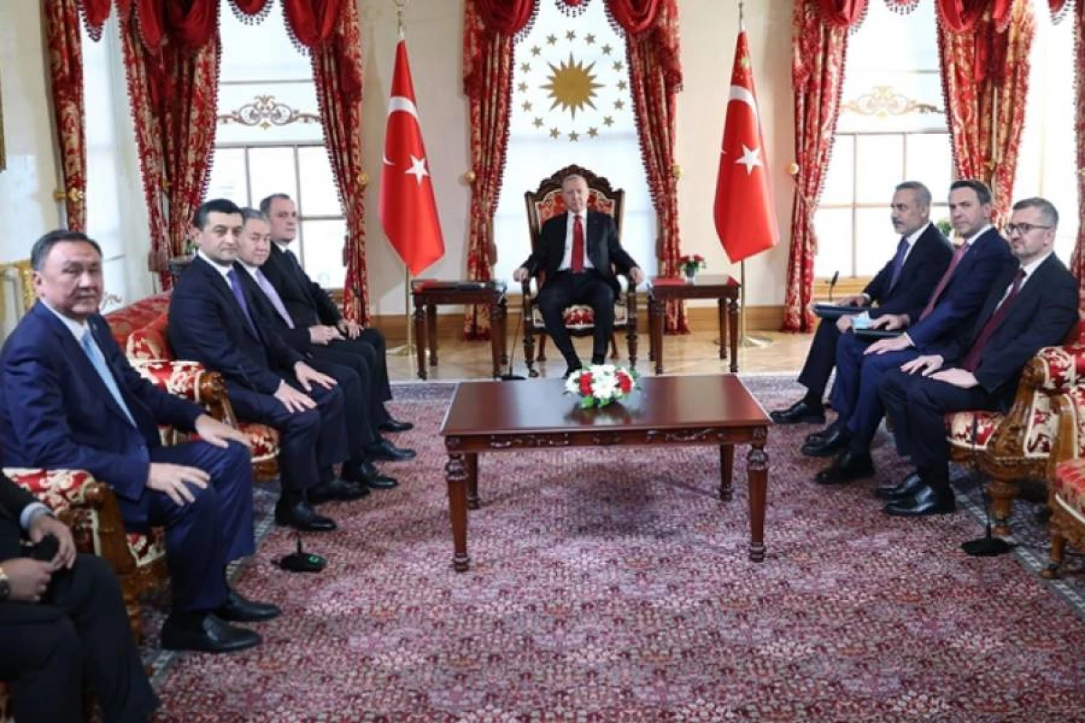 Türkiyə Prezidenti TDT ölkələrinin xarici işlər nazirləri ilə görüşdü