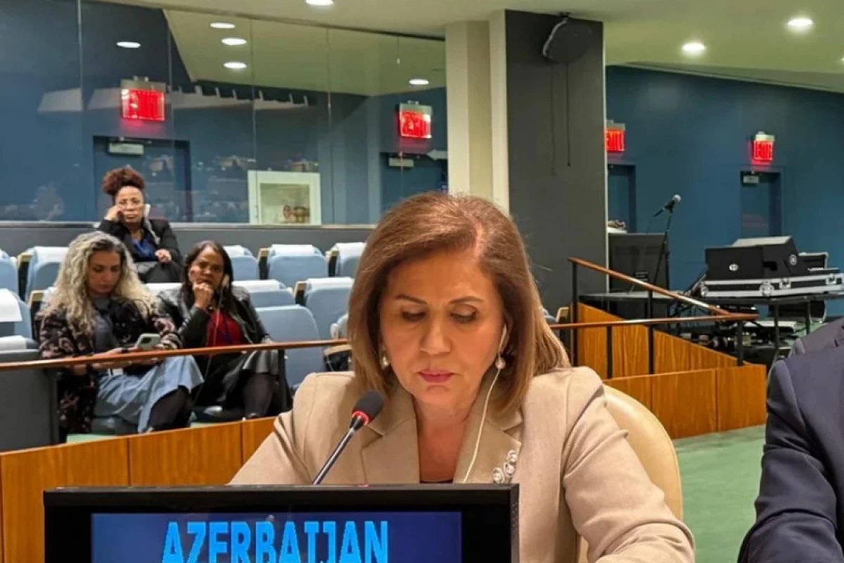 Bahar Muradova BMT-də Türk Dövlətləri Təşkilatı adından çıxış etdi