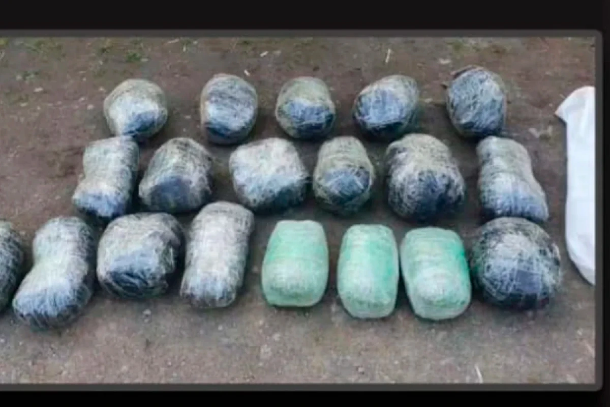Lerikdə 20 kiloqram narkotik vasitə aşkarlandı