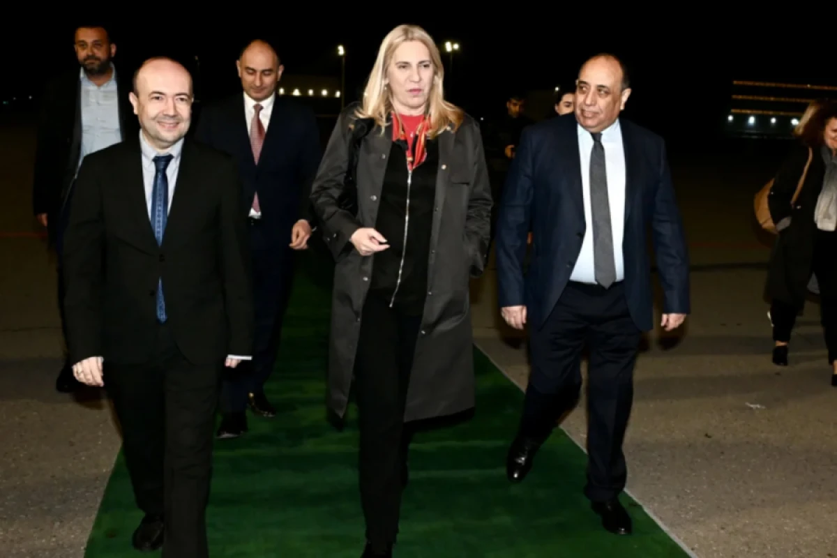 Bosniya və Herseqovina Rəyasət Heyətinin üzvü Azərbaycana səfərə gəldi