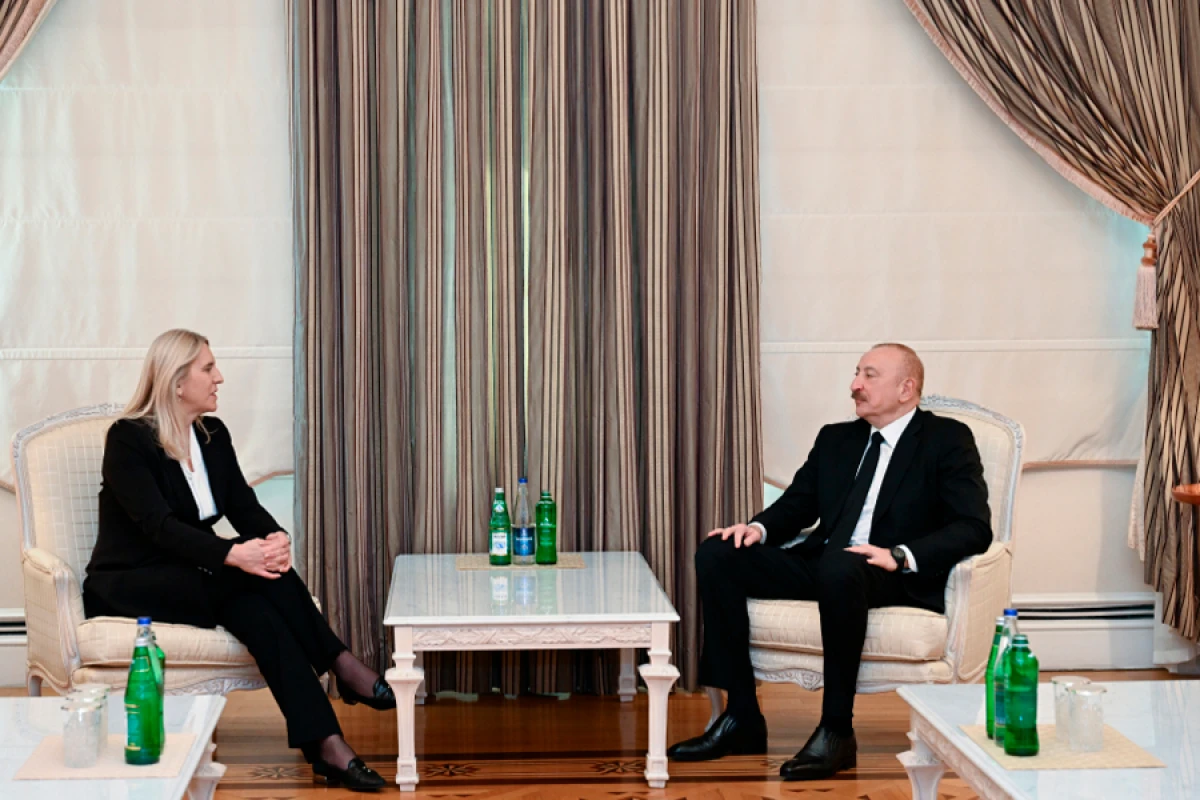 Prezident İlham Əliyev Bosniya və Herseqovina Rəyasət Heyətinin üzvü ilə görüşdü