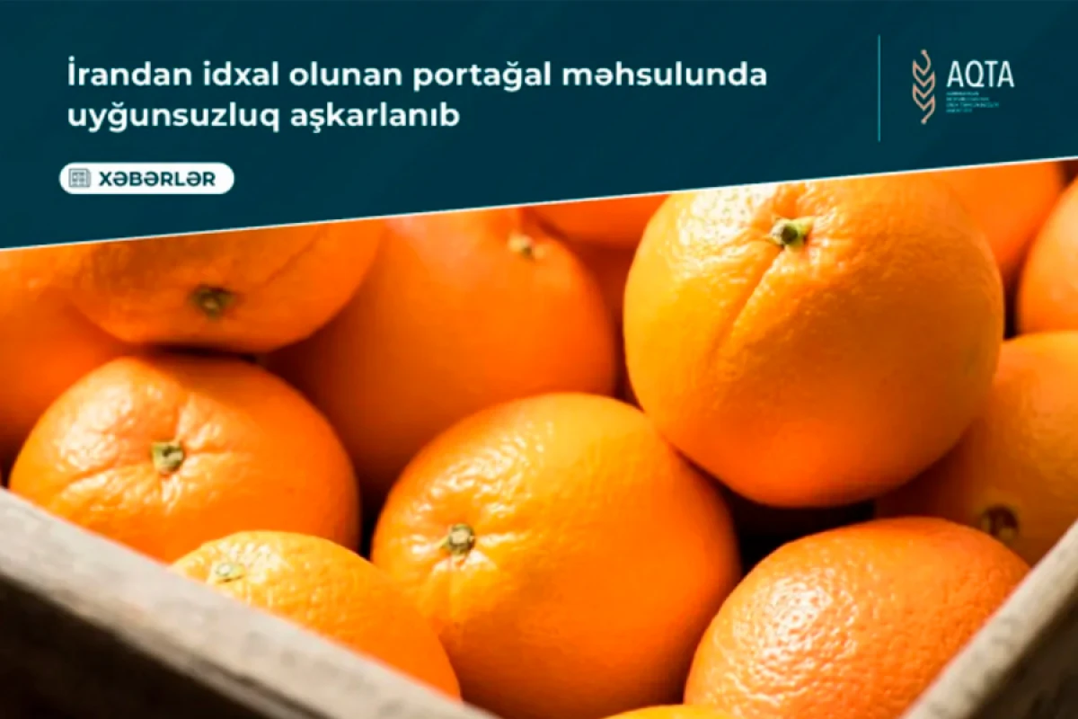 İrandan gətirilən 21 tondan çox portağalda rəngləyici maddə aşkarlandı