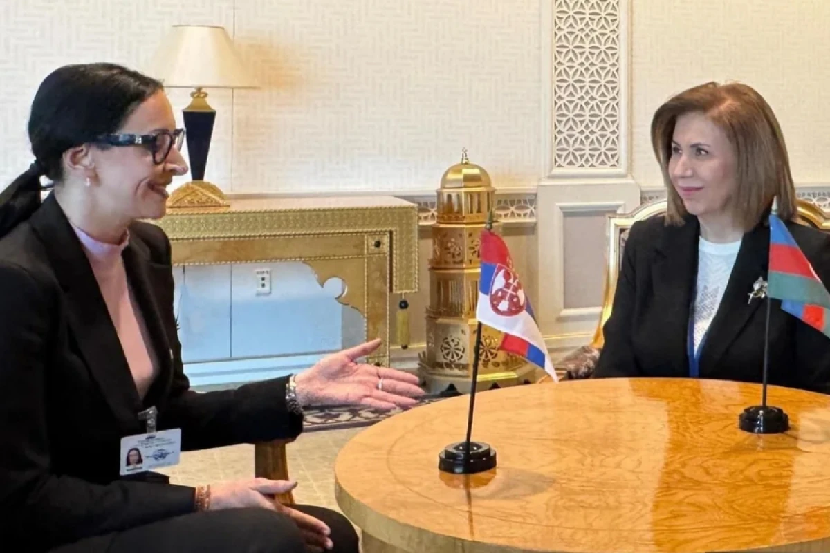 Bahar Muradova Yelena Zariç Kovaçeviç ilə əməkdaşlıq imkanlarını müzakirə etdi