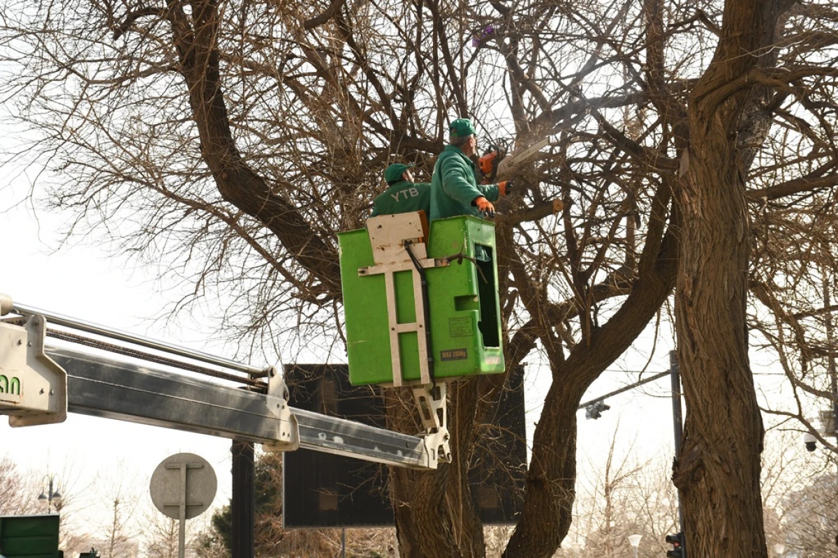 Bakıda Novruz ərəfəsində geniş təmizlik işləri aparıldı — 5