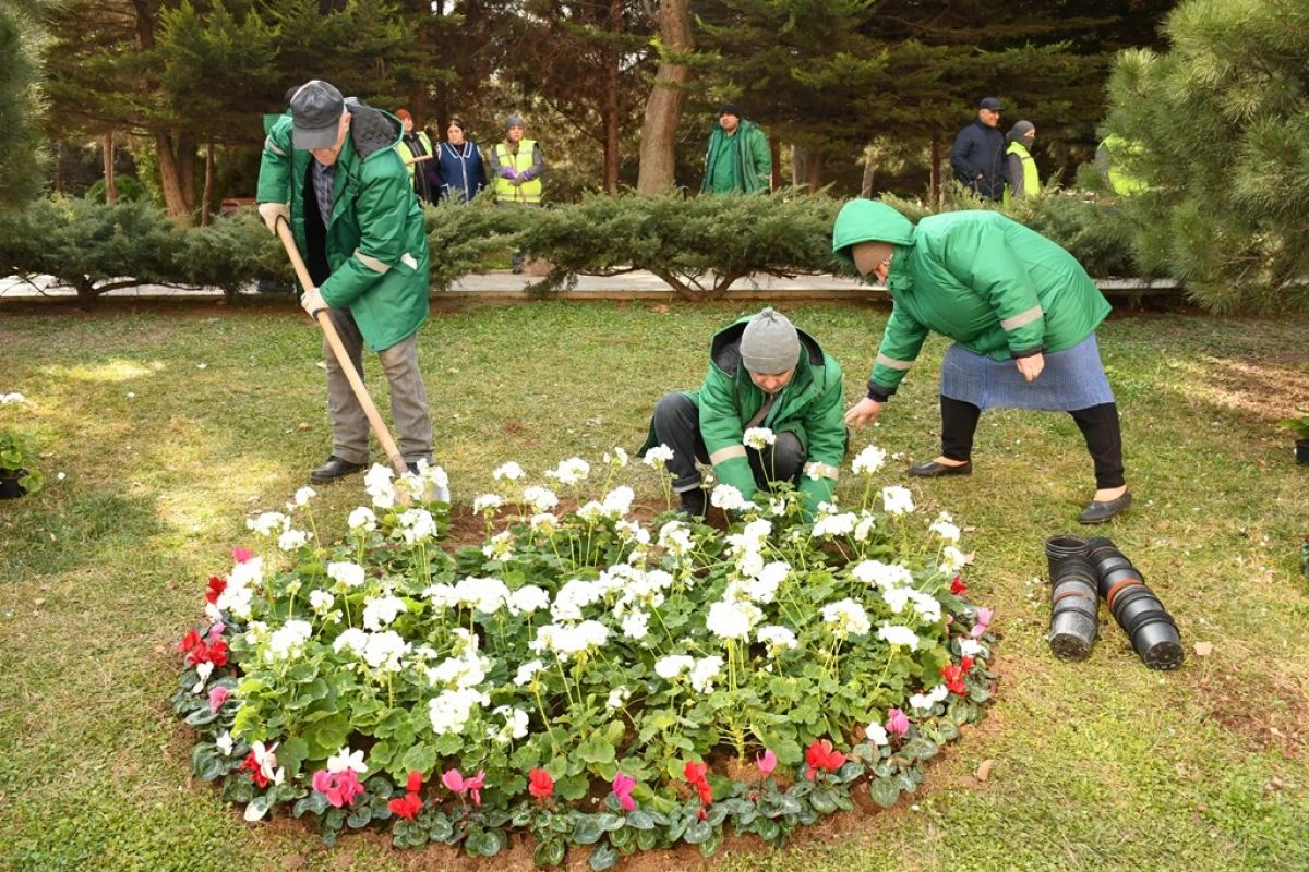 Bakıda Novruz ərəfəsində geniş təmizlik işləri aparıldı — 6