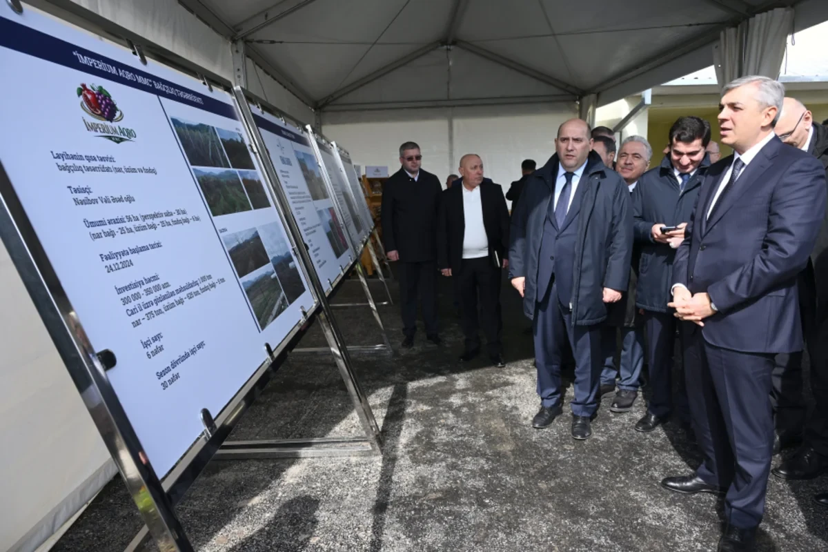 Xocavənd rayonunda bağçılıq təsərrüfatına baxış keçirildi — 2