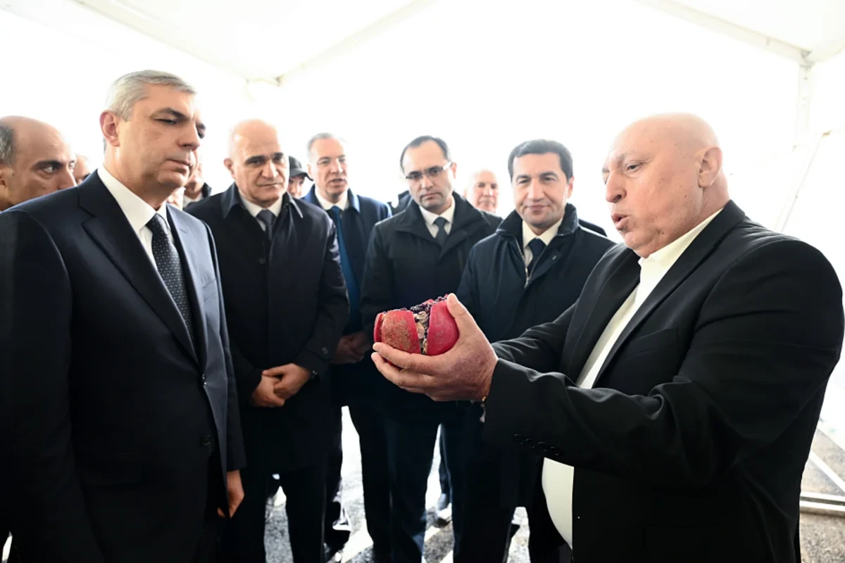 Xocavənd rayonunda bağçılıq təsərrüfatına baxış keçirildi — 3