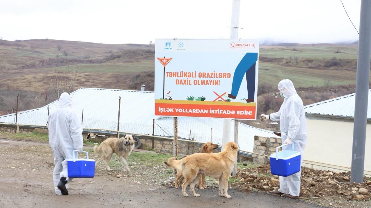 AXA: Quduzluğa qarşı peyvəndləmə tədbirləri aparıldı — 5