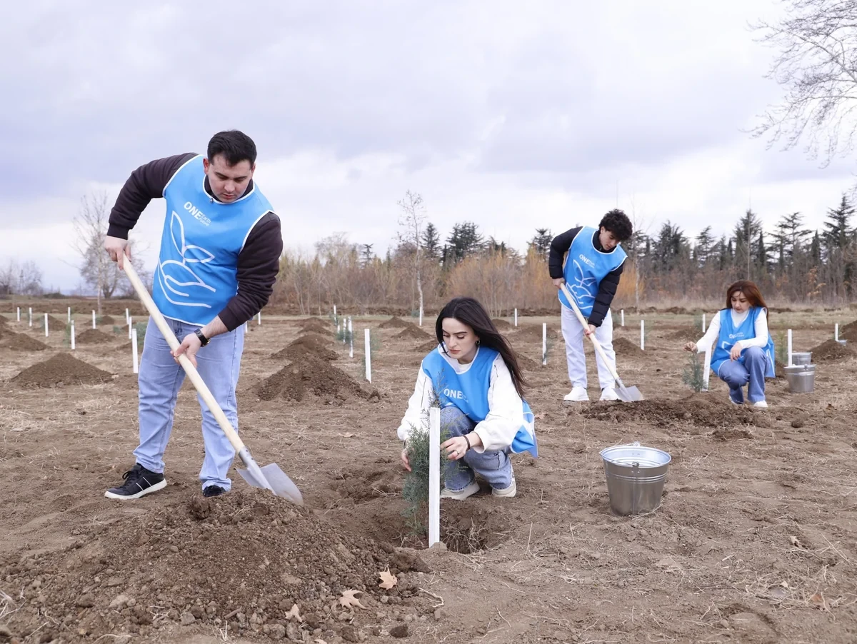 IDEA Tovuz və Goranboyda kütləvi ağacəkmə aksiyası təşkil etdi — 2