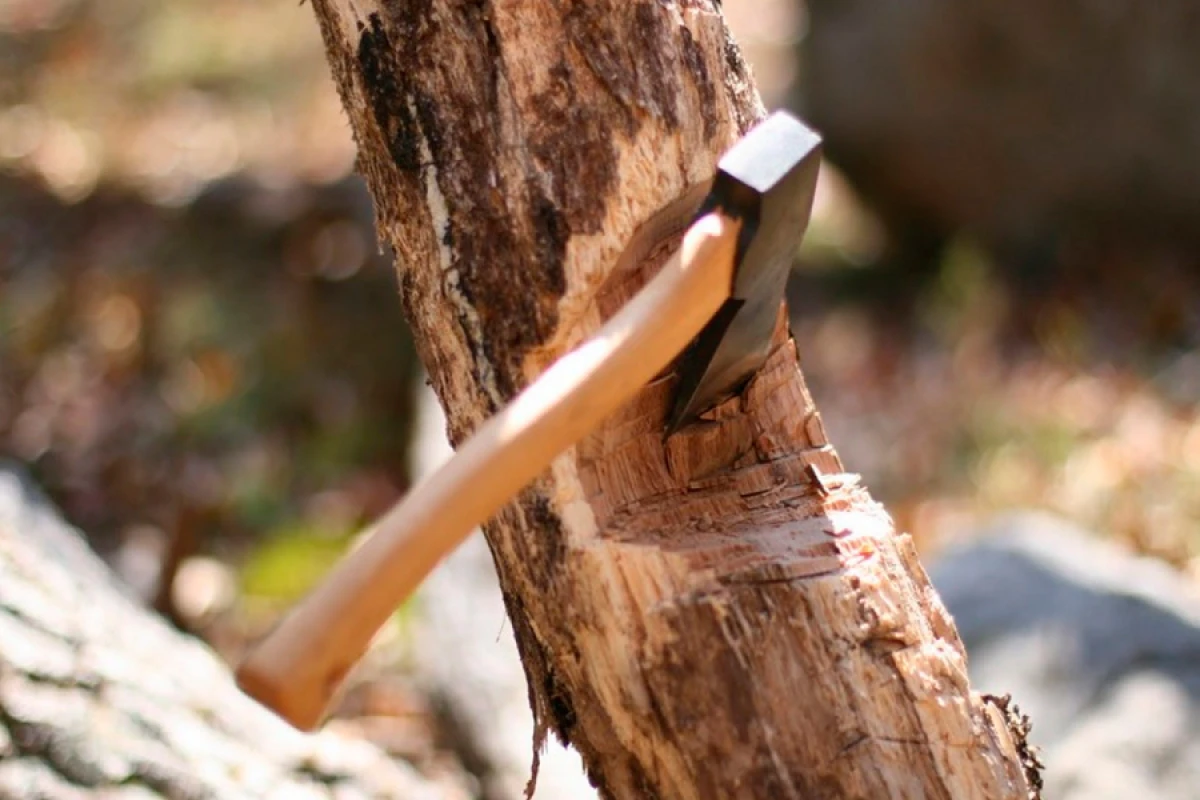 Ötən il ekoloji qaydaları pozanlara 5 mindən çox akt tərtib edilib