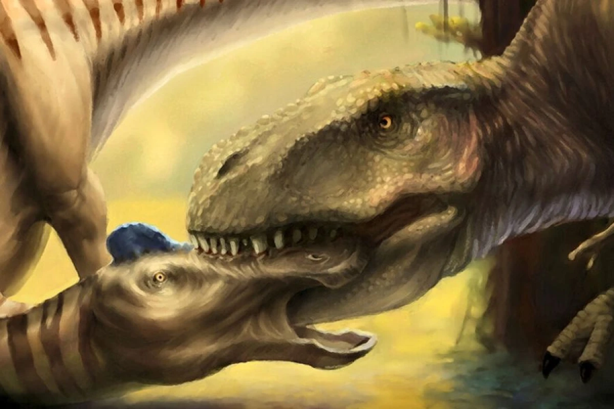 "Tirannosaurus rex"lə bağlı yeni kəşf