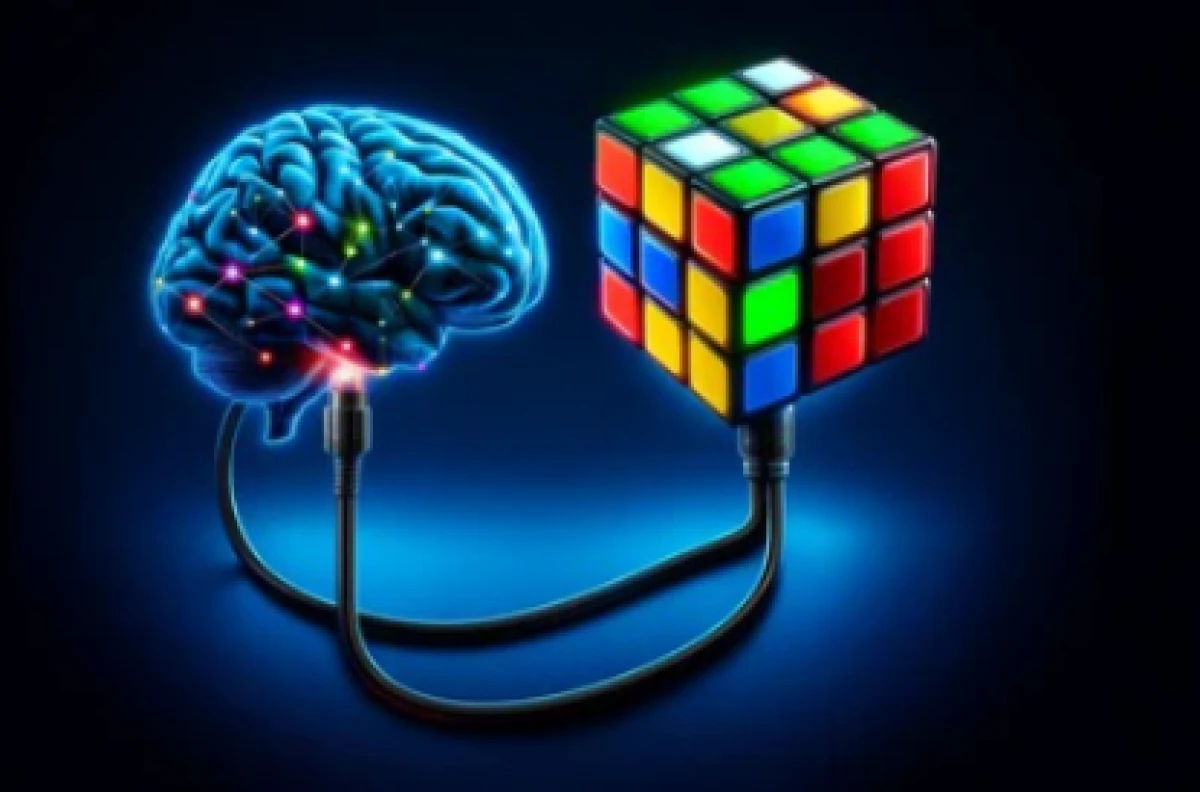 Rubik kubunu sürətlə həll edənlərin beyni fərqli işləyir