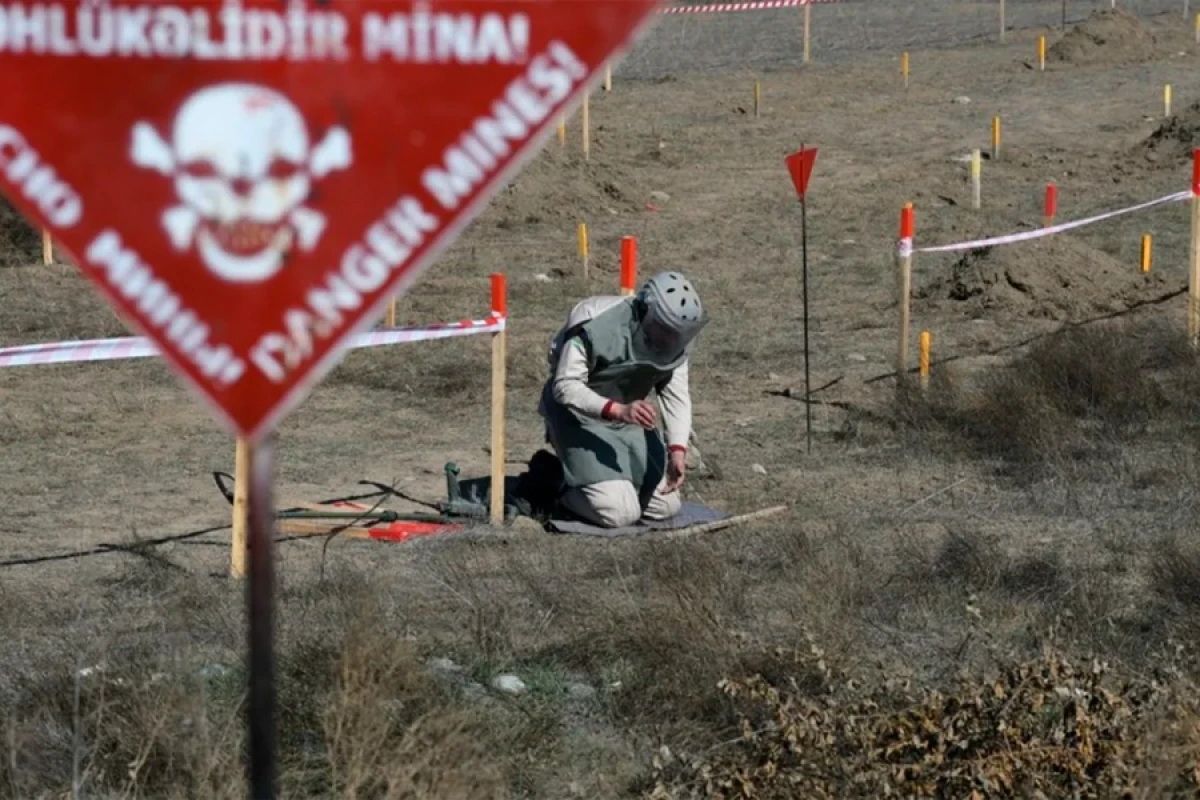 Bu gün Beynəlxalq Mina Xəbərdarlığı və Minatəmizləmə Fəaliyyətinə Yardım Günüdür