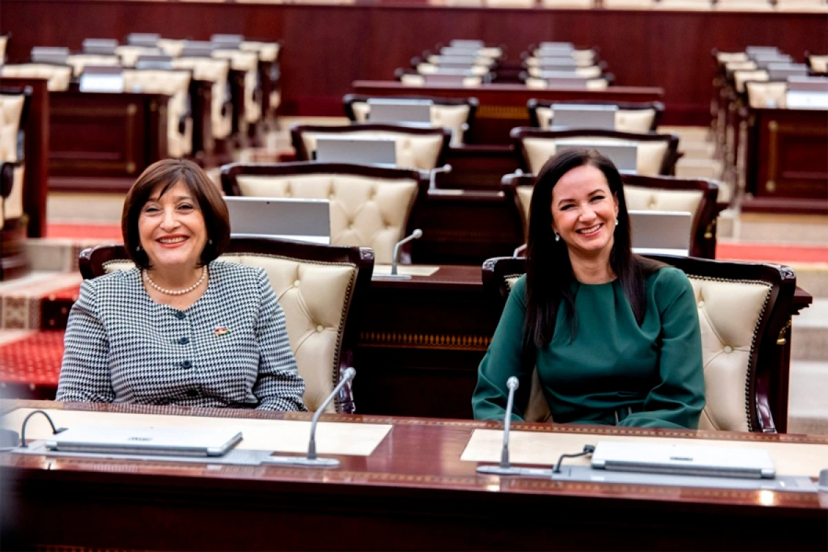 Milli Məclisin sədri Litva Baş naziri ilə görüşdü