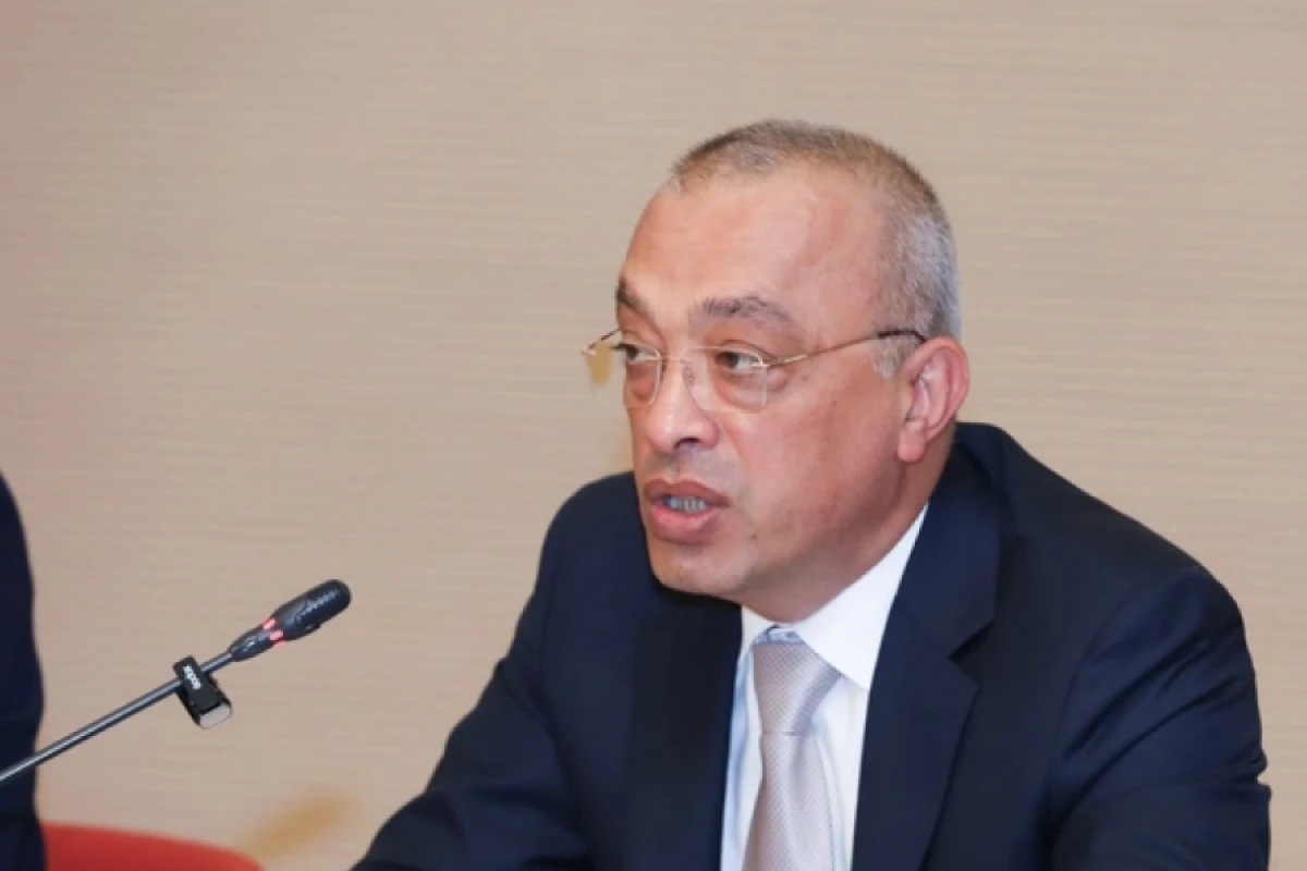 ADSEA sədri: "Bakıya 7 aya yağan yağış iki gündə yağdı"