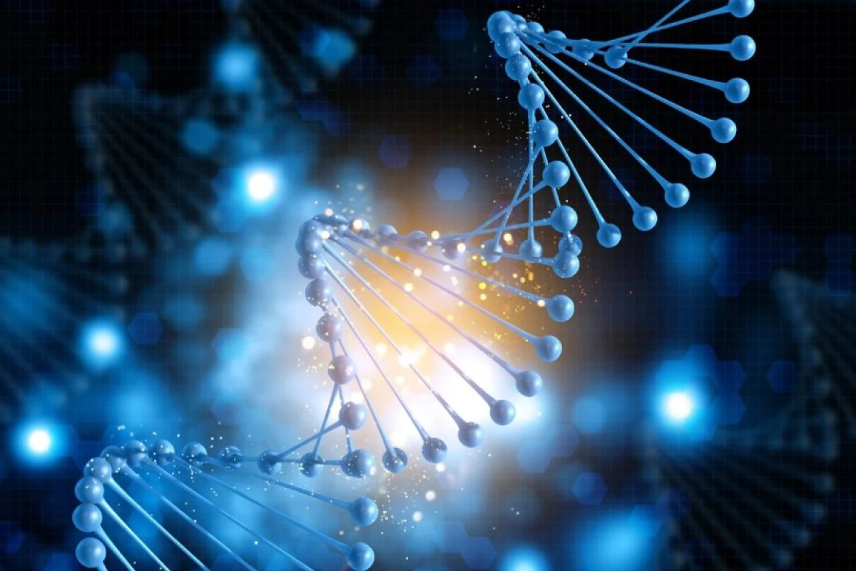 İnsan ömrü genetikadan asılıdır - ARAŞDIRMA