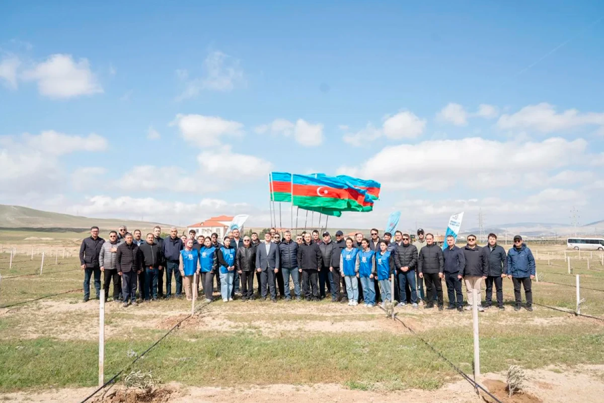 Müşfiqabadda ağacəkmə aksiyası keçirildi