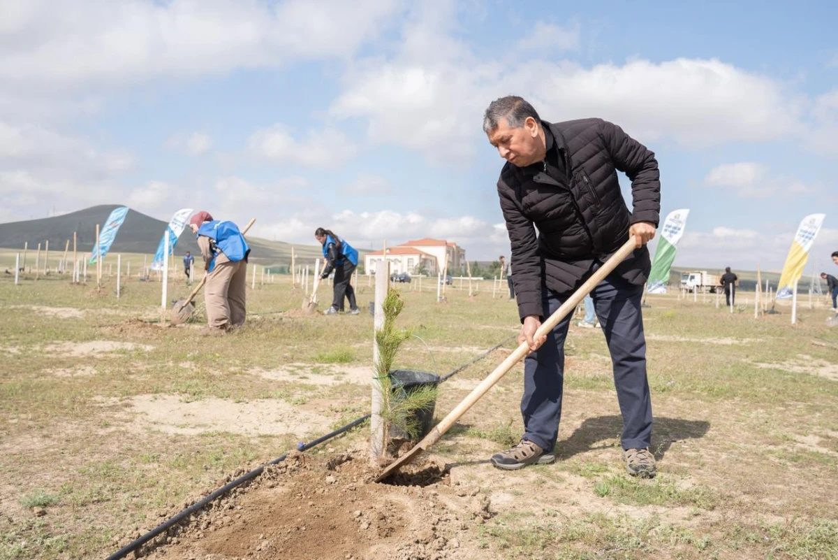 Müşfiqabadda ağacəkmə aksiyası keçirildi — 5