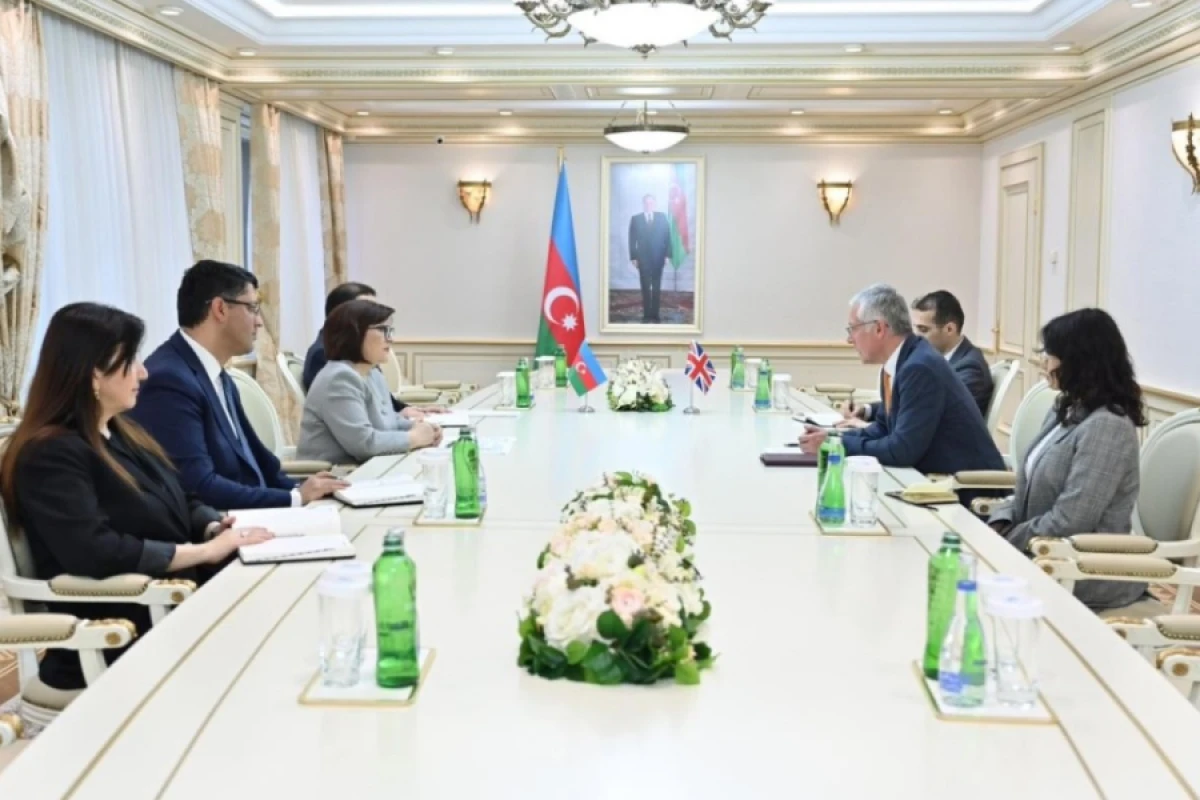 Milli Məclisin sədri Britaniya səfiri ilə görüşdü