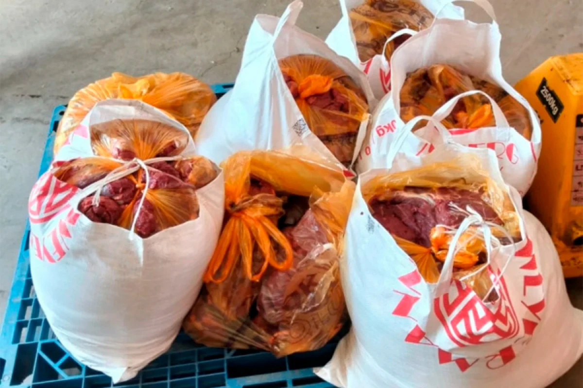 Yüzlərlə kiloqram at əti aşkarlandı - SATIŞIN QARŞISI alındı