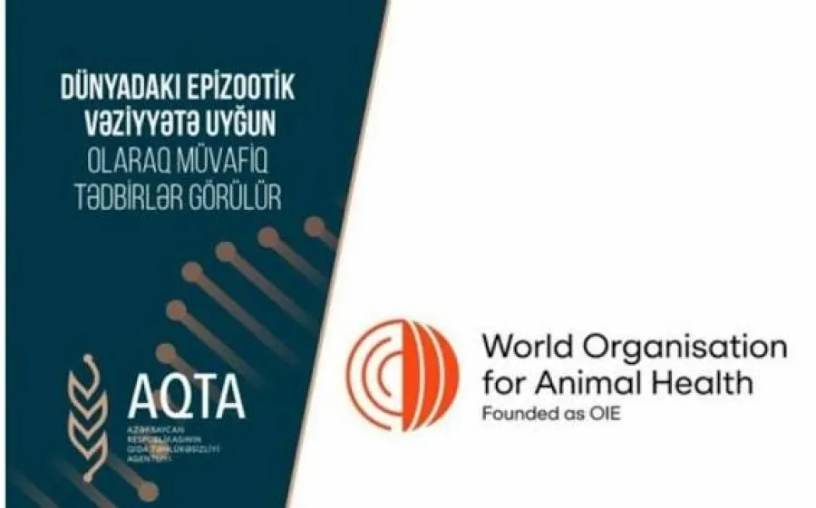 АПБП(AQTA) ответило на критику: какова истинная цель нового решения?