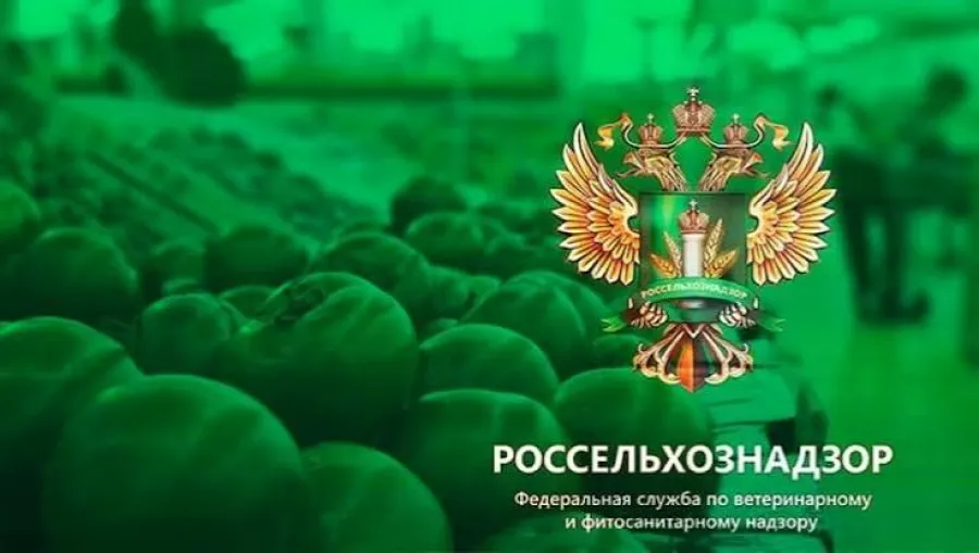 Россия с завтрашнего дня введет запрет в отношении Турции