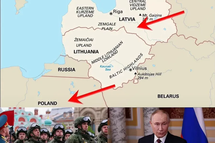 «Путин загнан в угол...» — ЖУТКОЕ ПРЕДУПРЕЖДЕНИЕ Восточному флангу НАТО