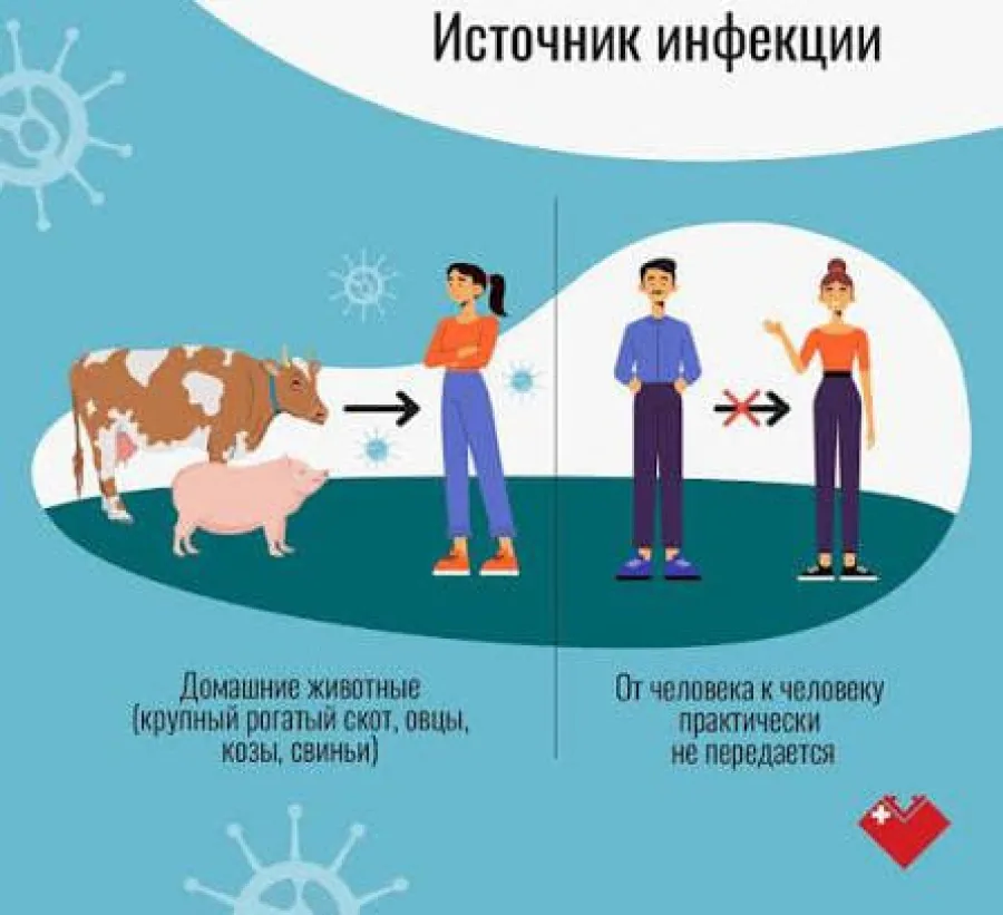 Тревога из-за сибирской язвы в Самухе: 9 человек госпитализированы